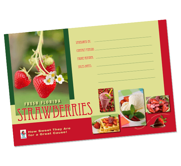 Strawberries Postcard