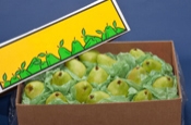 Box of D'Anjoy Pears