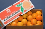 Box of Juice Oranges