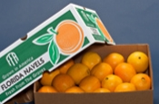 Box of Navel Oranges