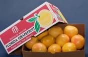 Box of Red Grapefruit
