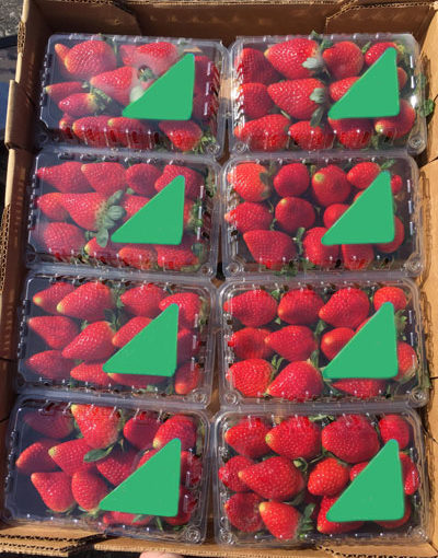 Florida Fruit Association Strawberries